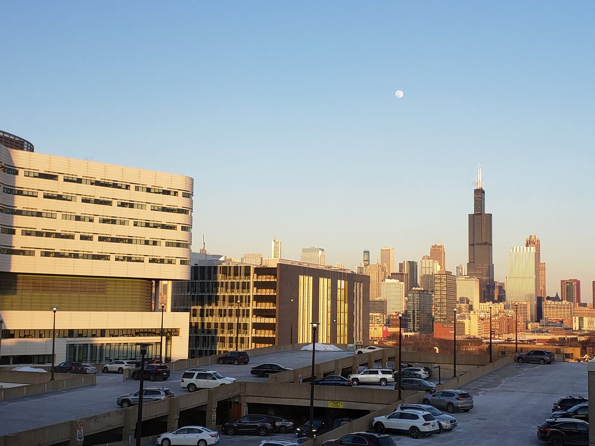 maribeth flaws tweet media