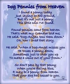catgirl321's tweet photo. PURRS for @PuppyNumber7 #Purrs4TomsNan💔 PURR PURR PURR PURR PURR PURR PURR PURR PURR PURR PURR PURR PURR PURR PURR PURR PURR PURR #ForeverLove #AngelTom
#OTRB February 15 2019🌈 https://t.co/SZdVMNtLC1