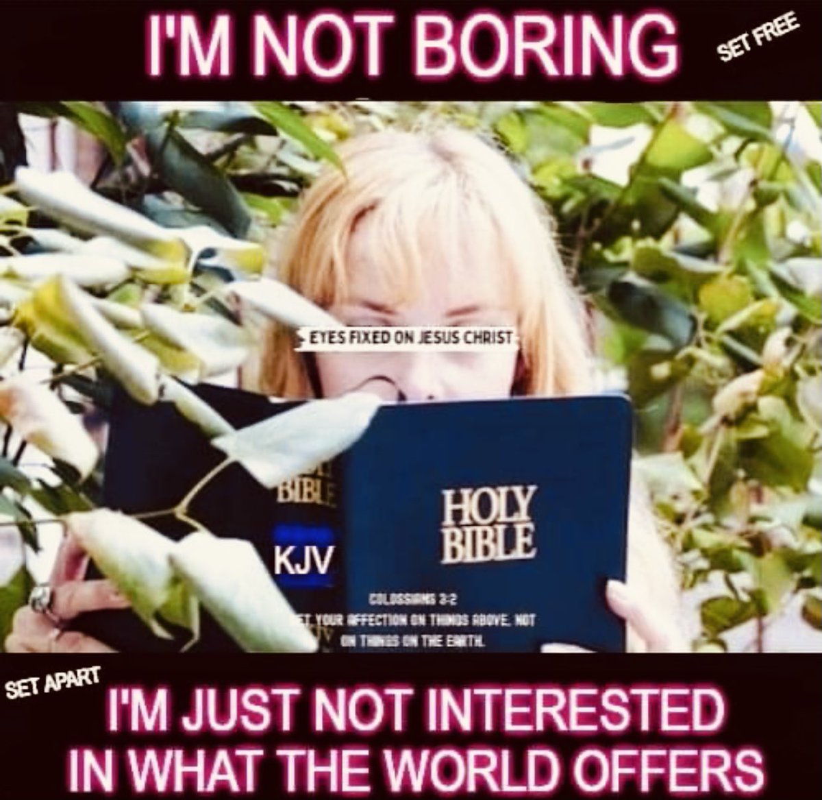 Emmanue37844681's tweet image. Colossians 3:2
“Set your affection on things above, not on things on the earth. For ye are dead, {and your life is hid with Christ in God.”}