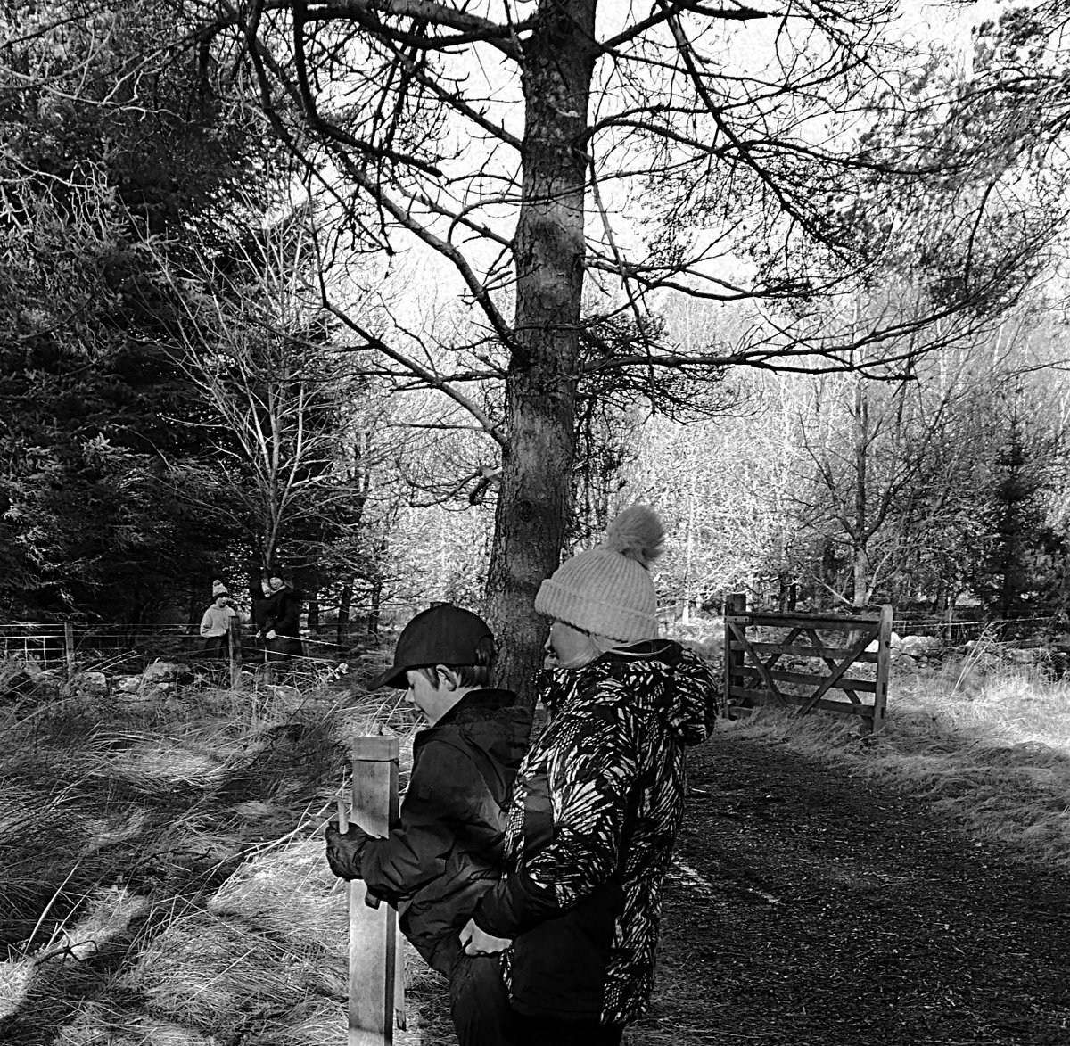 PoetryPath's tweet photo. Great to see people in the poetry path pines with a kid being hoiked up high enough to read 'in the pines' by Morgan Downie.
#corbenicpoetrypath #camphillcommunity #poetrypath #poetrycommunity https://t.co/eSUbOsjRNb