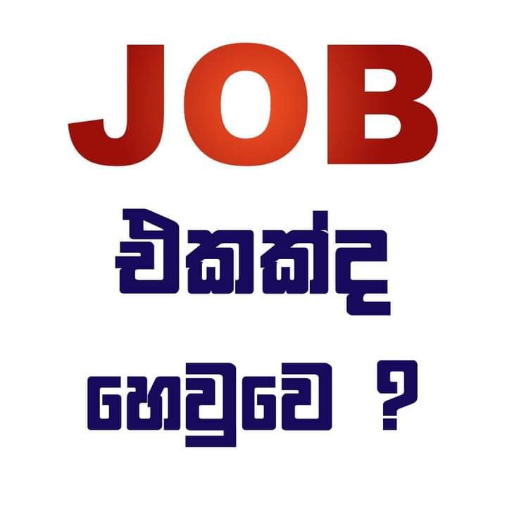 Mithras79649531's tweet photo. Best upcoming profession. To further details call / what’s app 0767721406

-No limits for your earnings that depends on your hard work, skills and art of selling . #viral #HiringNow #best #ever #permanant #solution https://t.co/uyJDdKoIXo