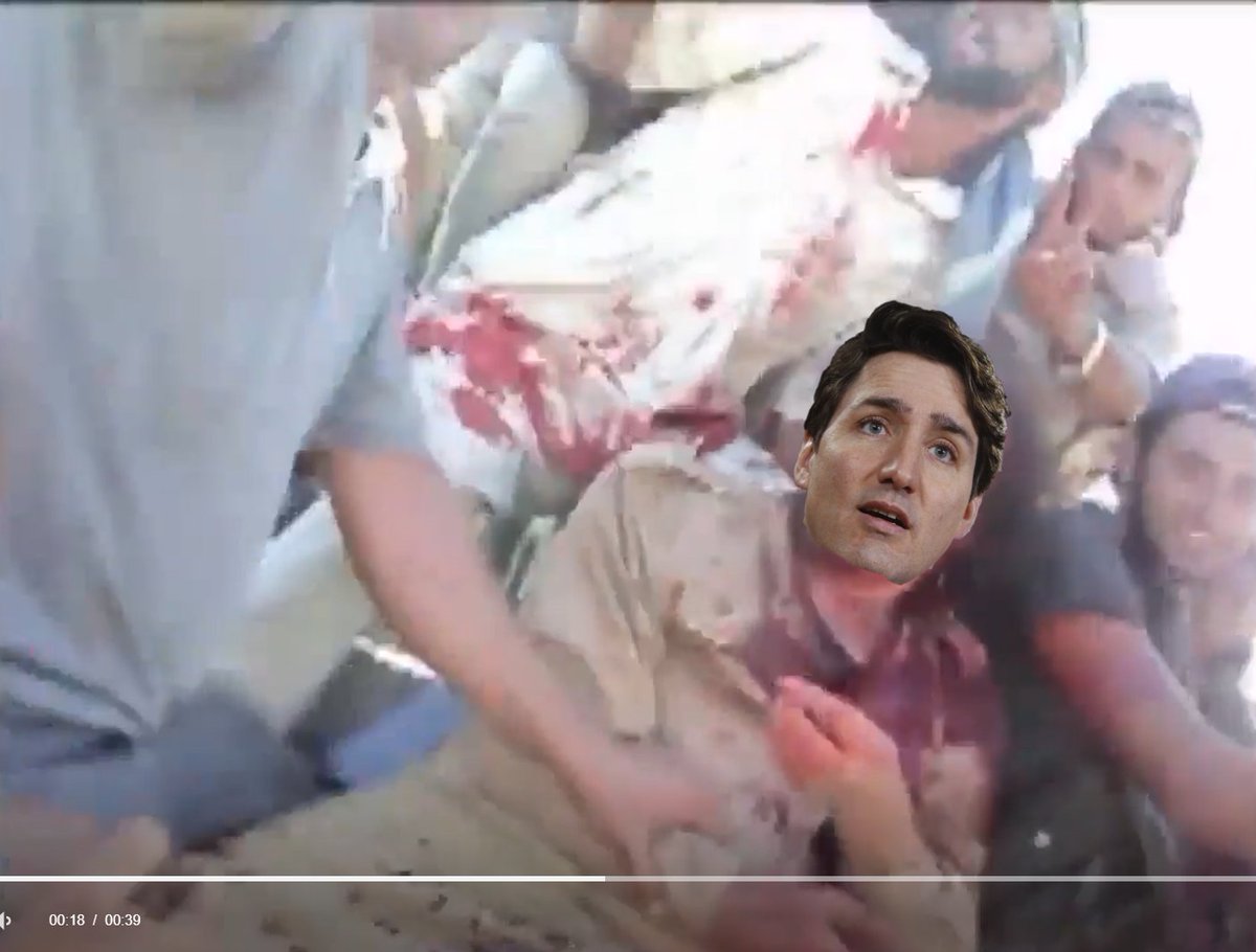 Generic Human Ryan tweet media