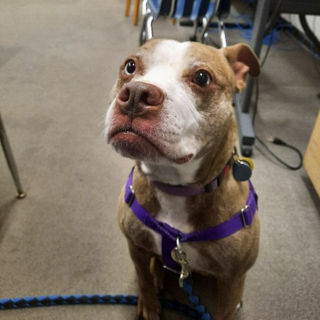 Check out the latest version of our newsletter 2022 FRC 238 Bits And Bytes: Week 4 and Week 5 Newsletter - mailchi.mp/f04d15526c03/2…