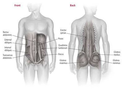 HarvardHealth tweet picture