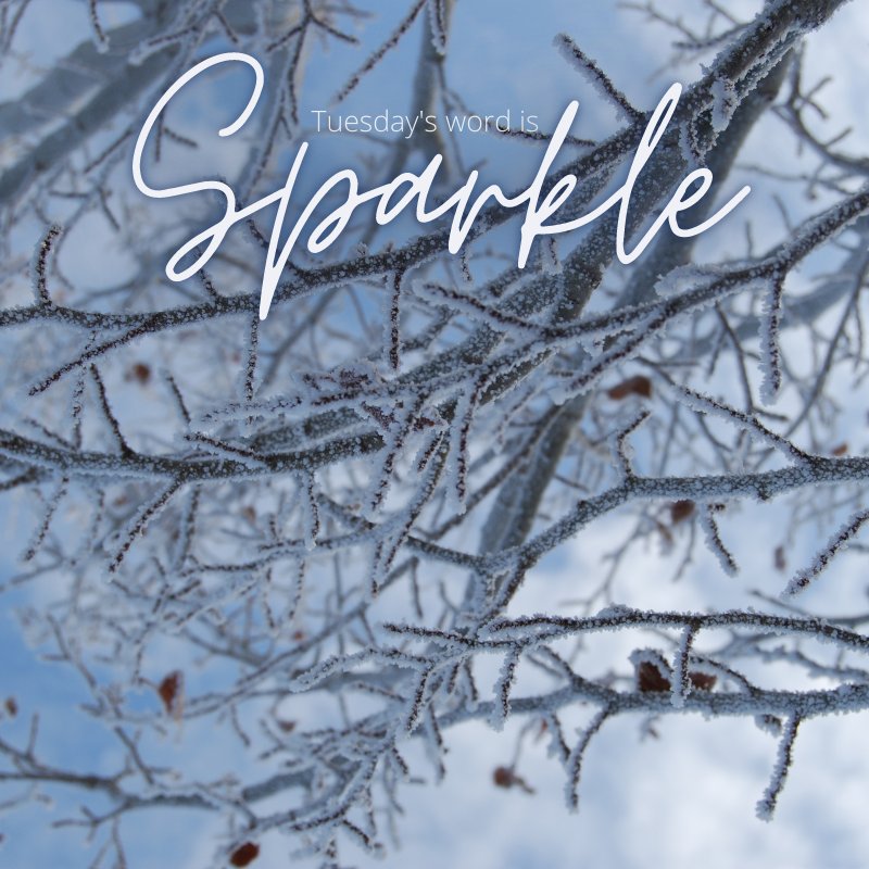 WritingSparkle's tweet photo. It is time for Tuesday's word.
#WritingSparkle #writing #reading #TuesdayWord #sparkle https://t.co/R97iuYbH7V