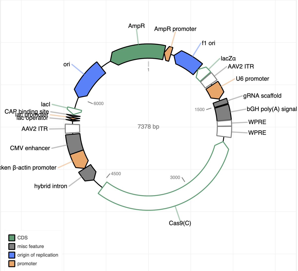 Ben Kleinstiver tweet media