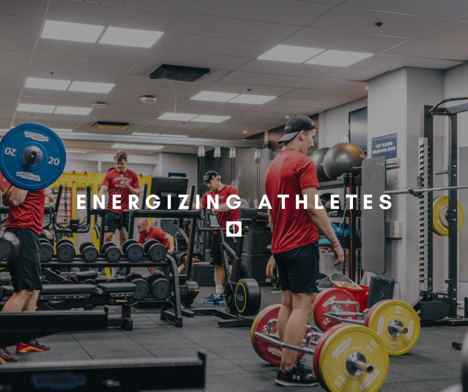 BrainLit tweet media