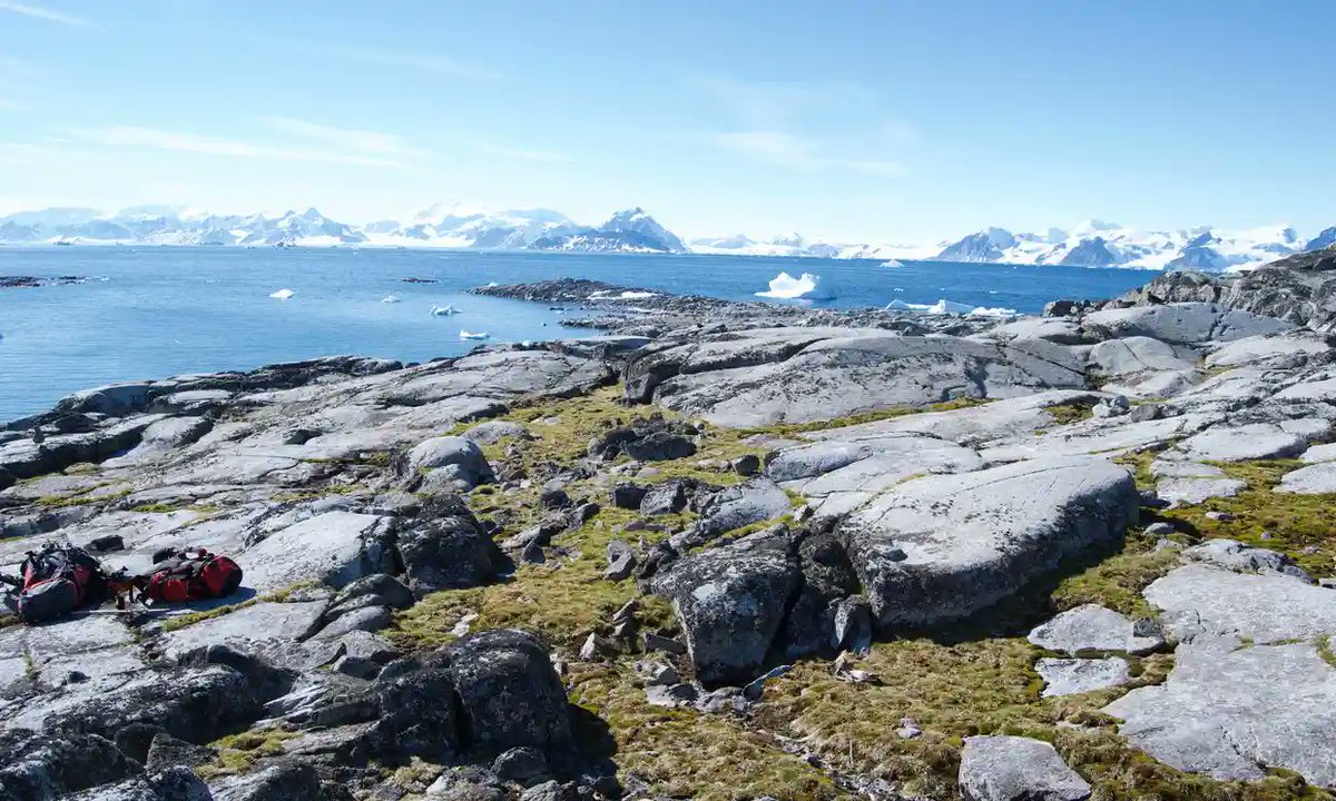MatthBurkhalter's tweet photo. #TheAgeOfExtinction - Flourishing #plants show warming #Antarctica undergoing ‘major change’
https://t.co/FGzFbXMH7A
Dramatic spread of native plants over past decade is evidence of accelerating shifts in fragile #polar #ecosystem
#SignyIsland #SDGs #SouthOrkneyIslands https://t.co/LcZujC19wm