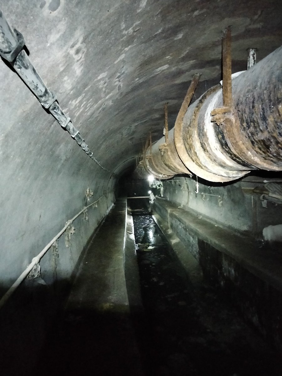 The Sewer the better tweet media