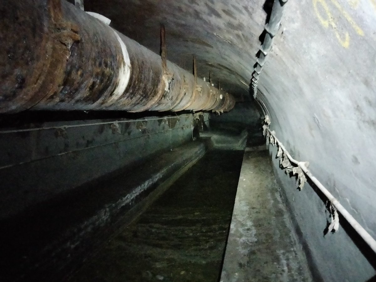 The Sewer the better tweet media