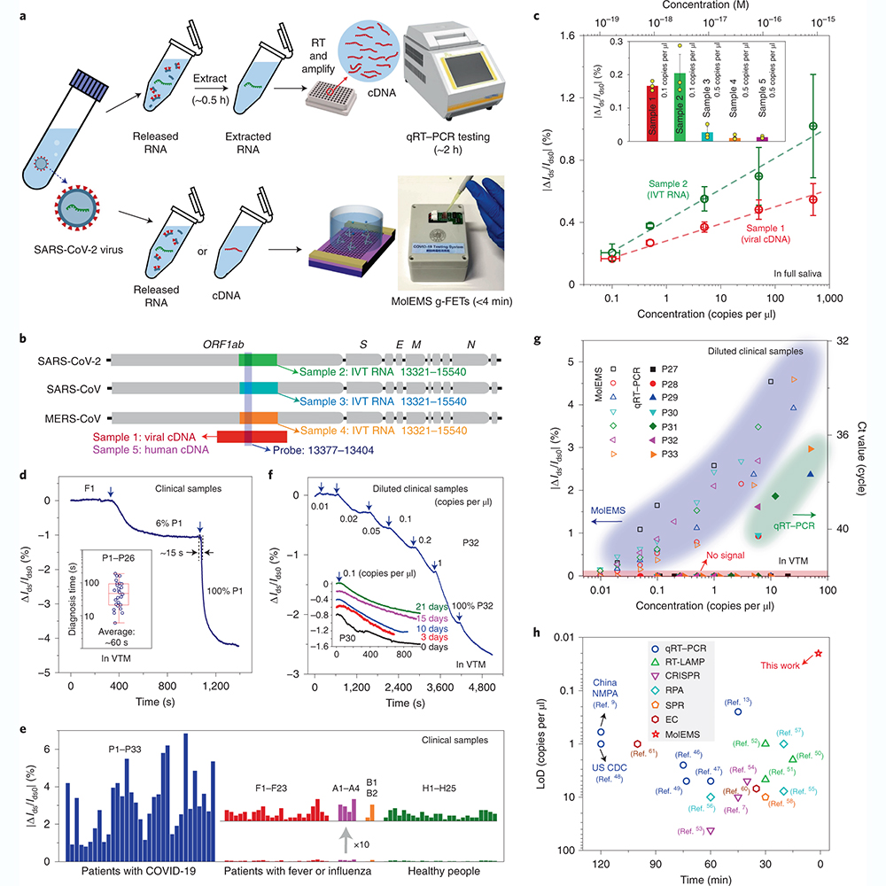 NaturePortfolio's tweet photo. A paper in @natBME presents a system that can detect SARS-CoV-2 in samples within four minutes without the need for RNA extraction or nucleic acid amplification. https://t.co/okATjz1Cmz https://t.co/AFIRcECCAS