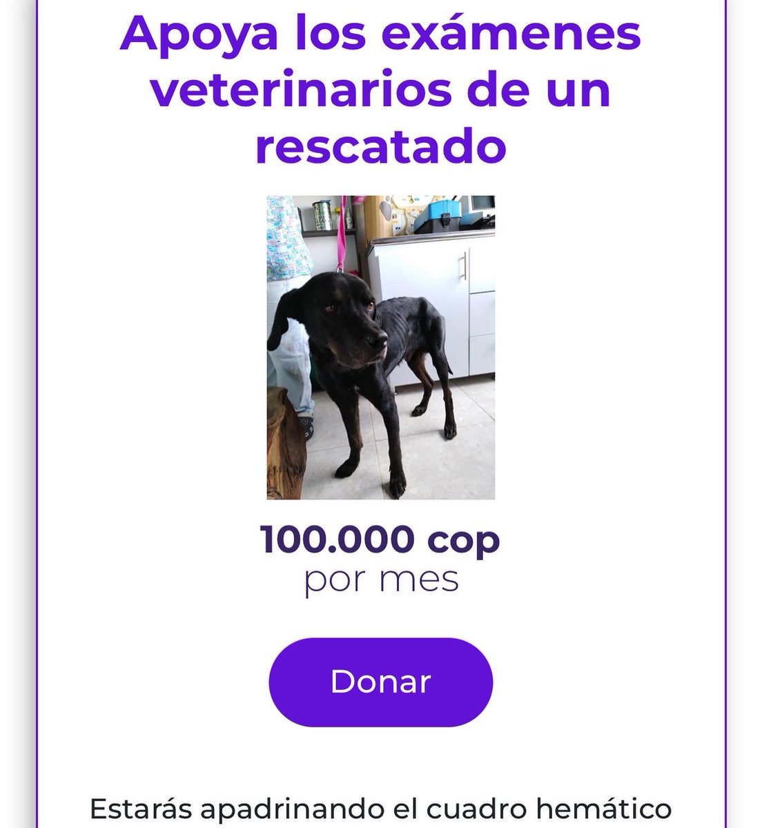Puedes unirte como #MarineroArca a través de la plataforma aliada <a href="/nibi/">Tanaka</a>.bee 🐝. Podrás inscribirte como donante mensual de la cantidad que tu elijas 🐾 y por cada donación que realices recibirás unas moneditas llamadas Nibis 💰.