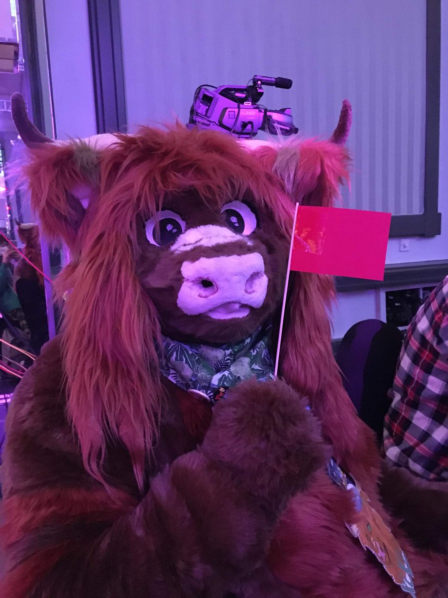 Thanks @Scotiacon_Info for a great convention! Already wish it was next year ❤️🌿🐮 #Scotiacon2022