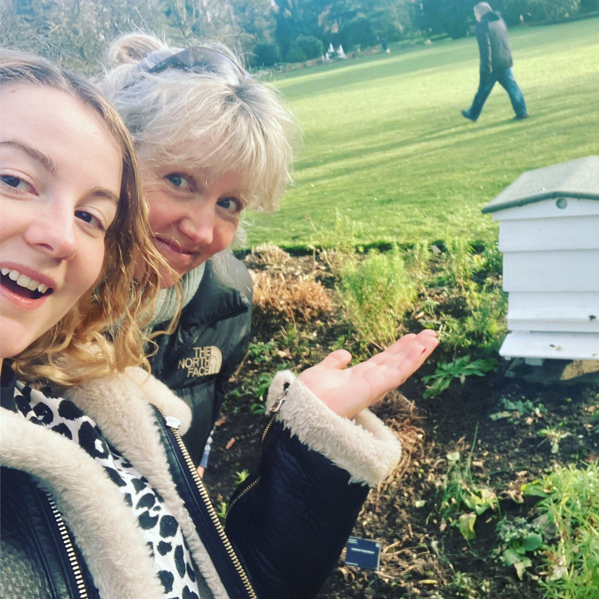 Neve's Bees tweet media