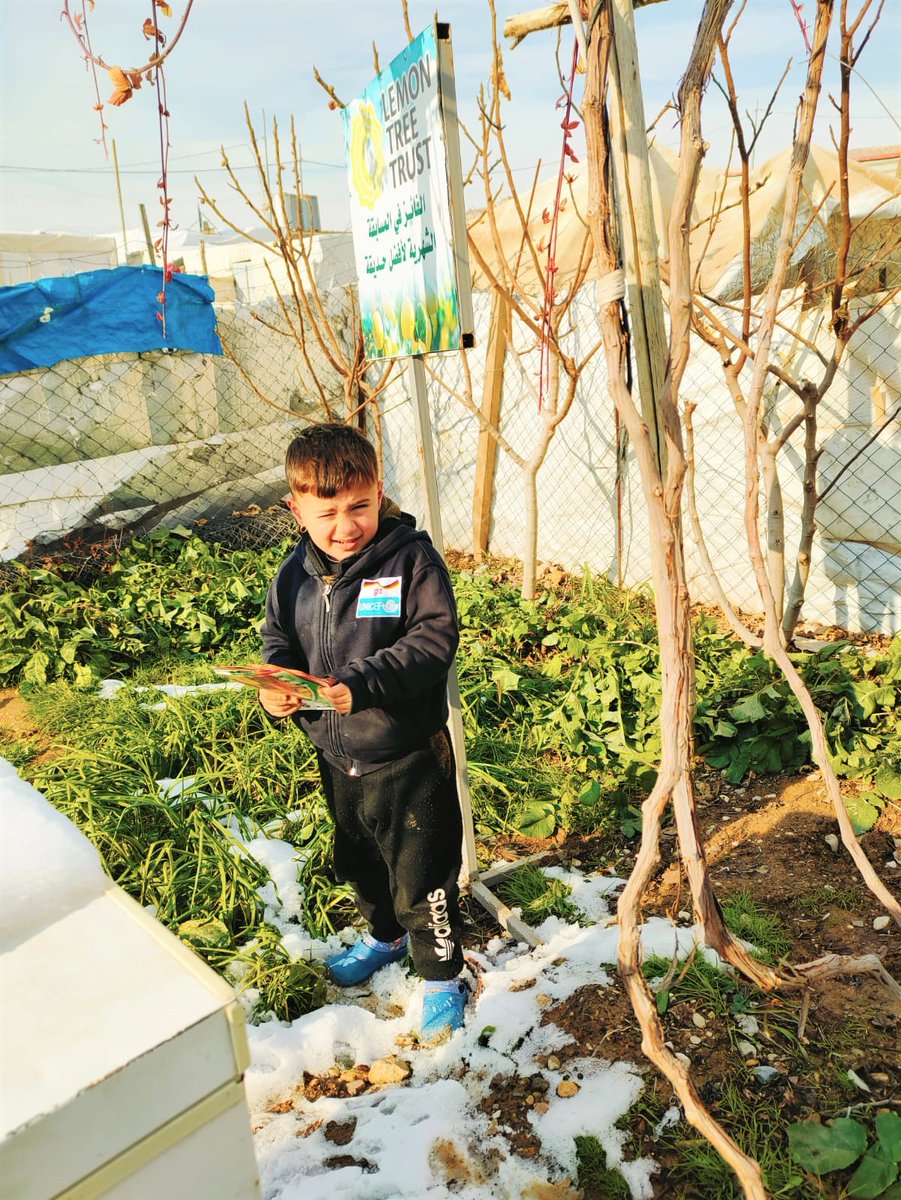 LemonTreeTrust's tweet photo. Congratulations to our first 'Garden of the Month' winners of 2022 👏😃⁣

Find out more about our monthly garden competitions 👉 https://t.co/7Tq8n1XJkZ

#WithRefuges #WithIDPs #OneGardenAtATime https://t.co/0iDju7OsWD