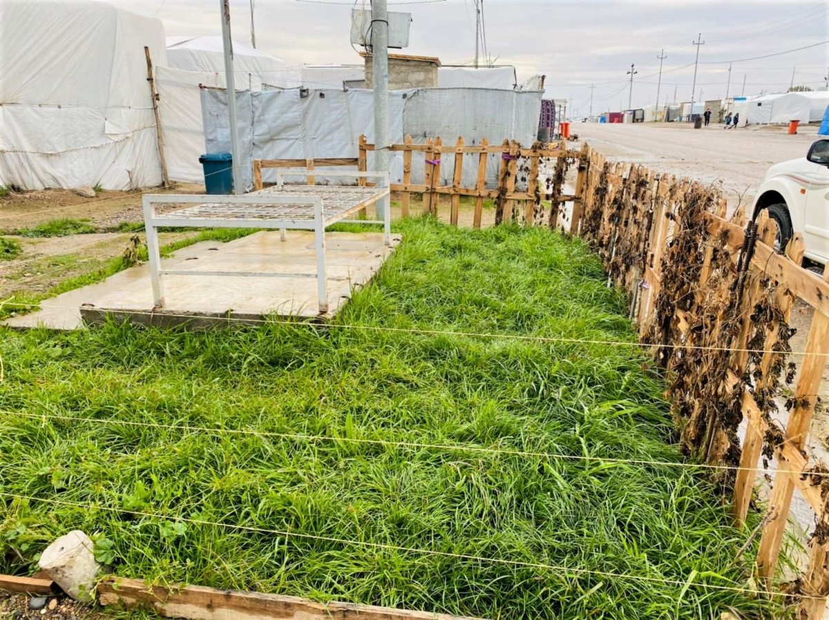 LemonTreeTrust's tweet photo. Congratulations to our first 'Garden of the Month' winners of 2022 👏😃⁣

Find out more about our monthly garden competitions 👉 https://t.co/7Tq8n1XJkZ

#WithRefuges #WithIDPs #OneGardenAtATime https://t.co/0iDju7OsWD