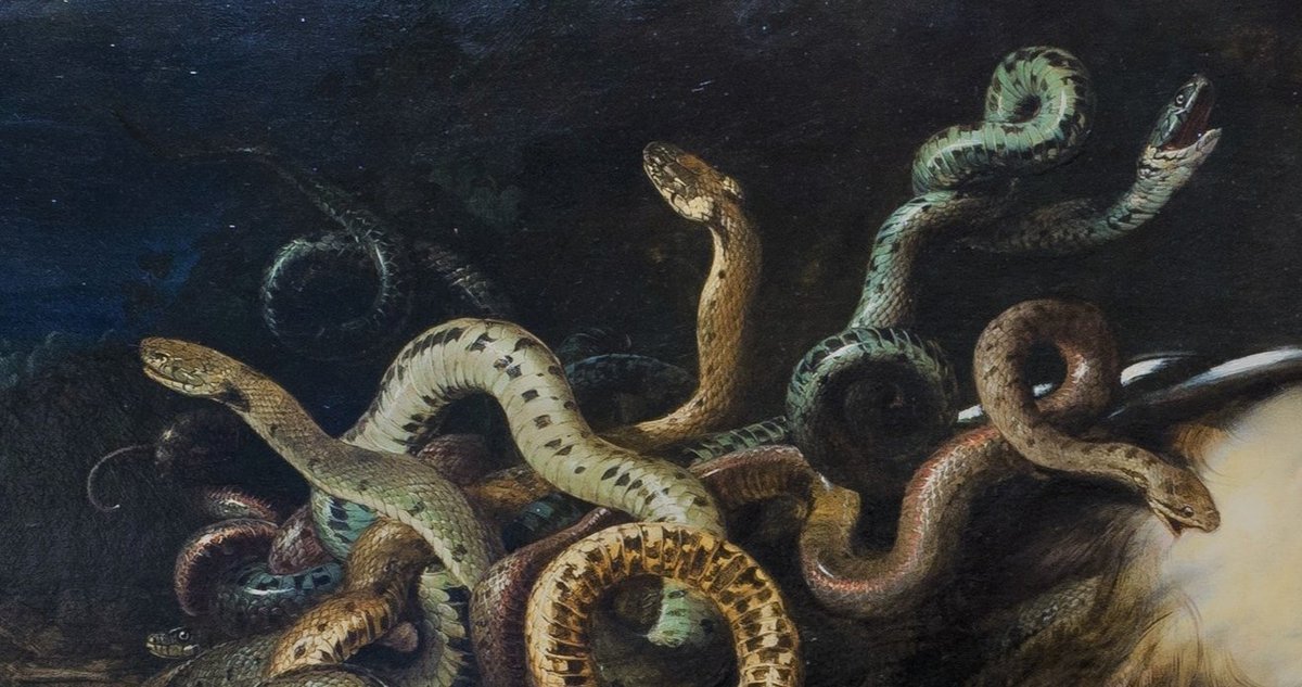 solisolsoli's tweet photo. The Head of Medusa, 1618, by Peter Paul Rubens https://t.co/ZKJwaO61WK