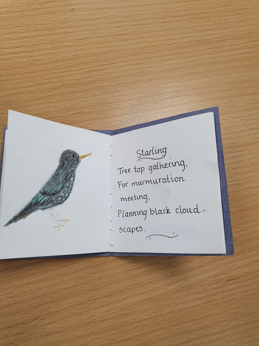 FlourishRo's tweet photo. These gorgeous little birds and writing by our new member Geraldine enlightened our morning at #RotherhamFlourish
🙂🐦🐤🦆
#storytelling
#CreativeSolidarity #mentalhealth #wellbeing https://t.co/bG3X0VuYMZ