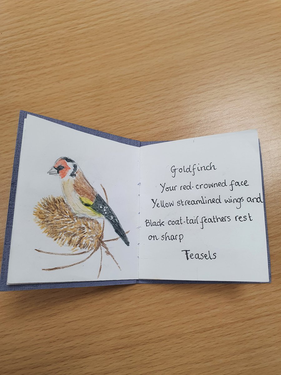 FlourishRo's tweet photo. These gorgeous little birds and writing by our new member Geraldine enlightened our morning at #RotherhamFlourish
🙂🐦🐤🦆
#storytelling
#CreativeSolidarity #mentalhealth #wellbeing https://t.co/bG3X0VuYMZ