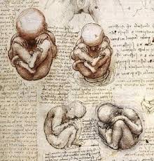 FedericoLaSala's tweet photo. #VITAEFILOSOFIA: #RINASCIMENTO #ANTROPOLOGIA E #FILOLOGIA. LA QUESTIONE DELL’#ANTROPOCENTRISMO e @la_Biennale d'#ARTE #VENEZIA2022. Note a #margine @artribune @Warburg_News @antinomie_it @spi1925  @Leparoleelecose @salvomic @CarloPulsoni  @C_dellaCultura https://t.co/trln1CCtUc https://t.co/X4wQraFlkA