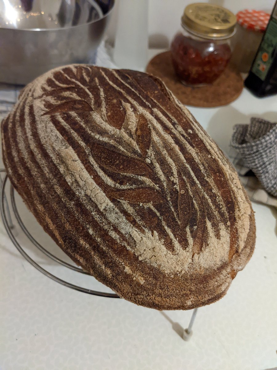 stormwarnings_'s tweet photo. something not quite right here, perhaps overproved a bit? slashing too shallow? still, like the pattern and of course smells nice :) #breadventures https://t.co/AG5SVR1cvH
