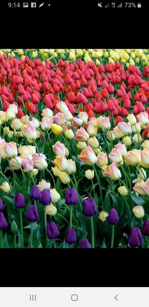 Hafsa Moni (@hafsamoni17) on Twitter photo 