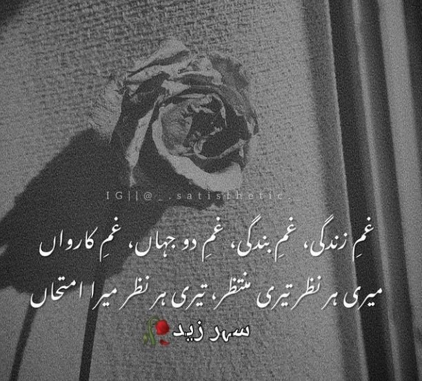 sehrzaid's tweet photo. 🥀🖤 https://t.co/ODl9N804Ag