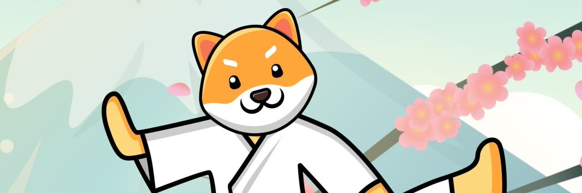 $SHUNFU - Kung Fu Shiba tweet media