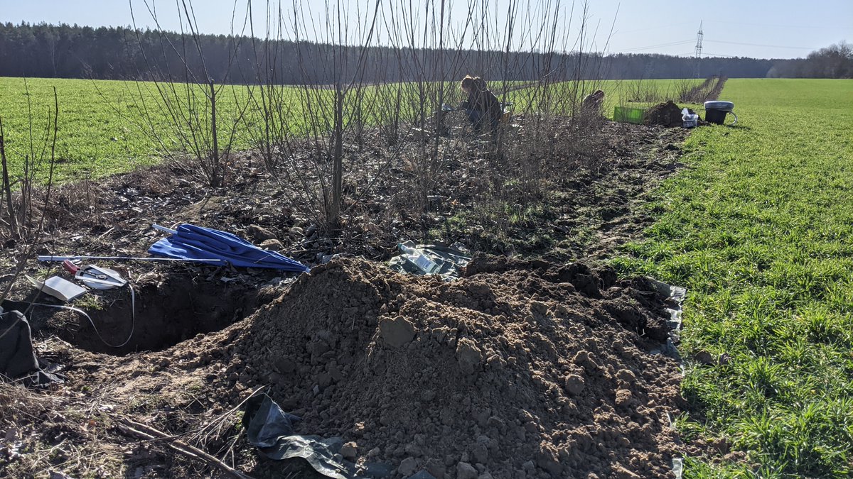 Really pleased &amp; grateful for this team - u rock!: Jonas Freymueller <a href="/LeibnizIGB/">IGB Berlin (now on Bluesky)</a> &amp; Co installed our next set of #soilmoisture probes under #agroforestry. Huge thnks also to <a href="/BenediktBoesel/">Benedikt Bösel</a> - excited to see effects of alternative landuse on soilmoisture dynamics