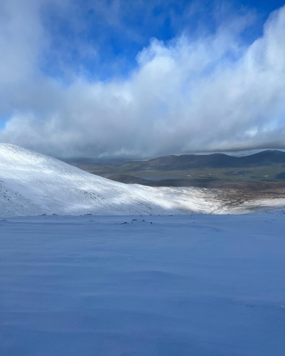 LittleBigAdventures tweet media