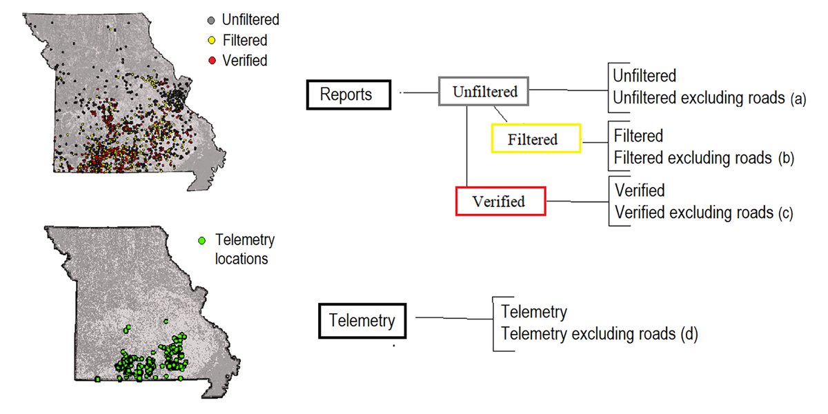 ESAEcosphere's tweet photo. From our Methods, Tools, & Technologies track:
A comparison of black bear #DistributionModels built with researcher-collected data vs #CommunityScience data corrected for spatial bias
https://t.co/qINlHndwkE
#MachineLearning #OpenAccess
@mariela_g_g @globalwild_cc @MDC_online https://t.co/ZehLF2kG1e