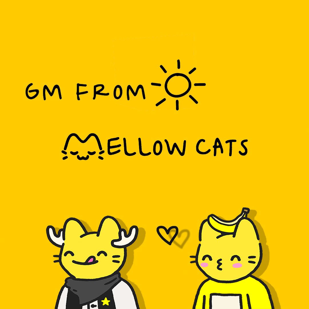 Mellow_Cats's tweet photo. GM GM 0x Fam! Happy mf Tuesday team ☀️☀️

#0xfam #YellowArmy #0xrespect #0xApes #0xApesTrilogy #0x #NFTdrop #mellowcats https://t.co/lnGWR0SYWw