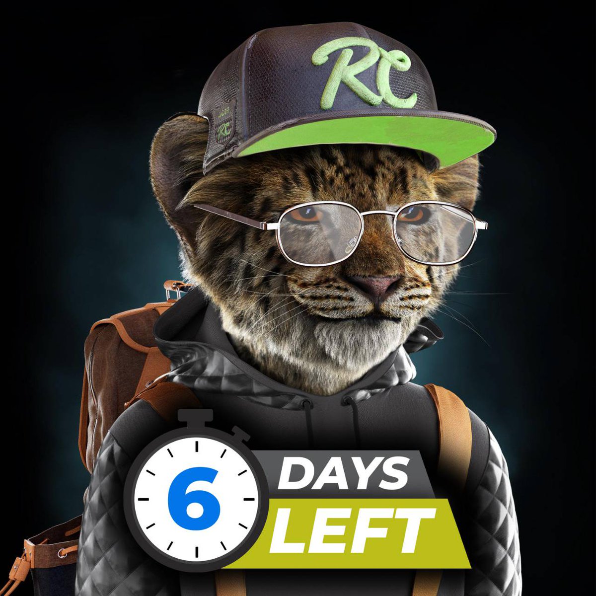 The Royal Cubs tweet media