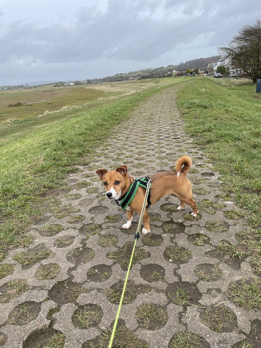 StaveleySchool's tweet photo. Been out tagging today? Ellie’s been to Bolton Le Sands adding some of her own tags and collecting some already there. Don’t forget you can add new tags! #streettags @streettaghq @ActiveCumbria https://t.co/RFoO9P5Qqb