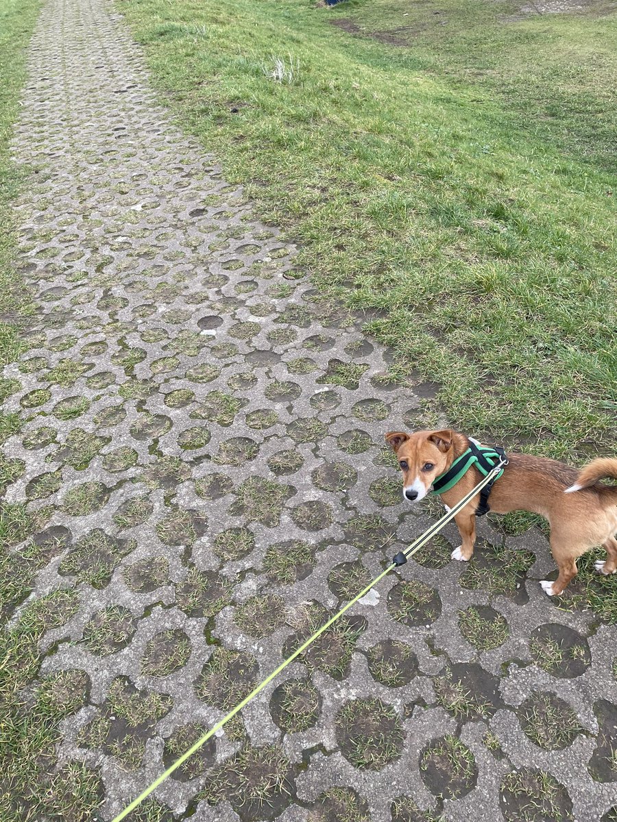 StaveleySchool's tweet photo. Been out tagging today? Ellie’s been to Bolton Le Sands adding some of her own tags and collecting some already there. Don’t forget you can add new tags! #streettags @streettaghq @ActiveCumbria https://t.co/RFoO9P5Qqb
