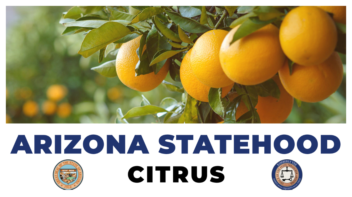 #AZStatehoodWeek Fact of the Day: #Arizona has the perfect combination of sun and soil to produce oranges, tangerines, grapefruit, and lemons. Link: agriculture.az.gov/plantsproduce/… | #AZstatehood #AZ5Cs #AZhistory | Arizona Treasurer Kimberly Yee