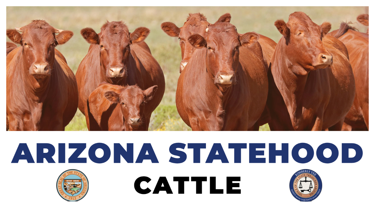 #AZStatehoodWeek Fact of the Day: Cattle are raised in all AZ counties (Apache, Cochise, Coconino, Gila, Graham, Greenlee, La Paz, Maricopa, Mohave, Navajo, Pima, Pinal, Santa Cruz, Yavapai & Yuma) Link: arizonabeef.org/the-beef-story… | #AZ5Cs #AZhistory | Arizona Treasurer Kimberly Yee