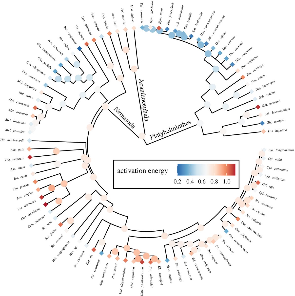 The effects of phylogeny, habitat and host characteristics on the thermal sensitivity of #helminth development #OpenAccess #ProcB   <a href="/JessyAPhillips/">Jessica Phillips (she/her)</a>  #Ecology ow.ly/F6xP50HVk9q