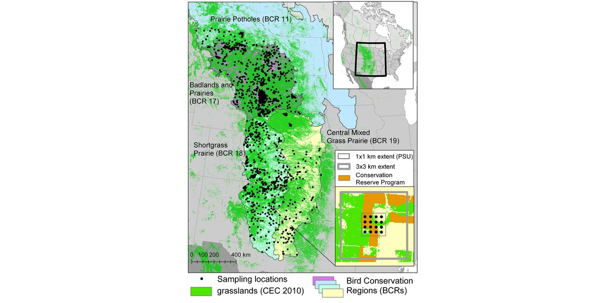 ESAApplications's tweet photo. Now online in @ESAApplications:
Landscape-scale conservation mitigates the biodiversity loss of grassland birds
https://t.co/dTjjM6KGNf
With #OpenData in @datadryad
#ConservationReserveProgram #GrasslandBirds #Biodiversity
@BirdConservancy @WarnerCollege @usdafsa @USDA_NRCS https://t.co/3BRHbYPp6O