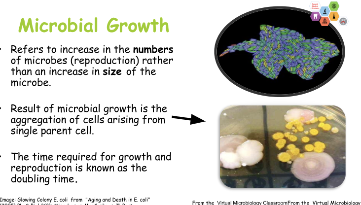 The ADA Forsyth Institute tweet media
