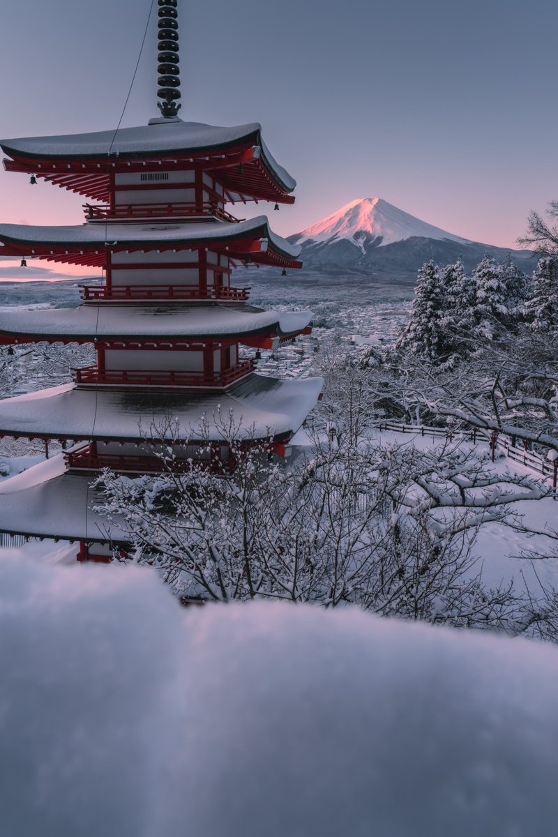 新倉山公園で撮った富士山🗻 綺麗すぎたのでいっぱい写真を撮りました😚✨ The winter scenery of Mount Fuji at Chureito pagoda🗻❄️