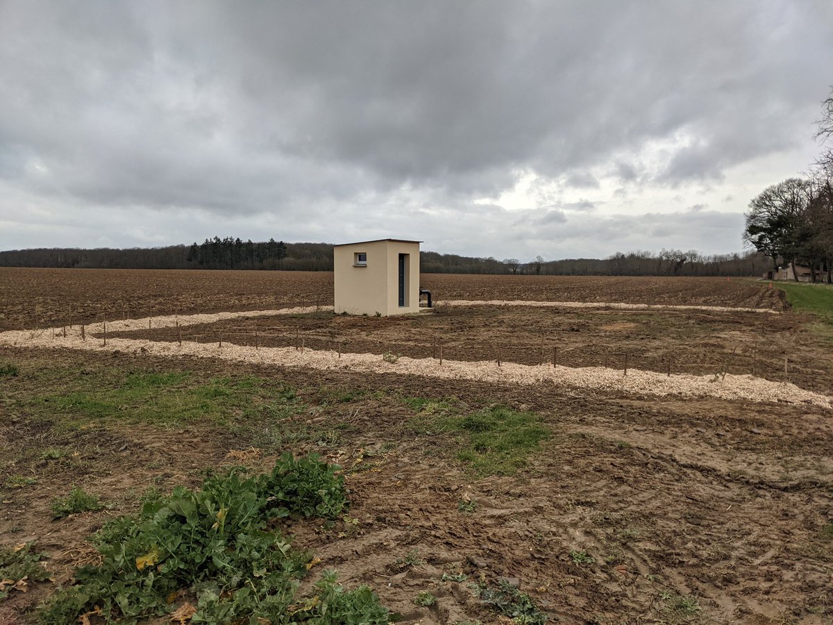 Olivier Vasseur tweet media