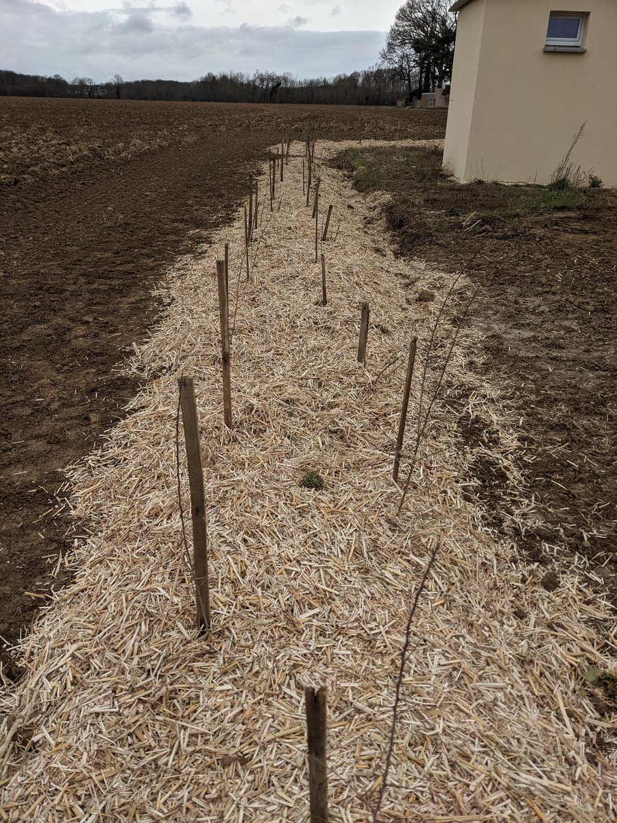 Olivier Vasseur tweet media