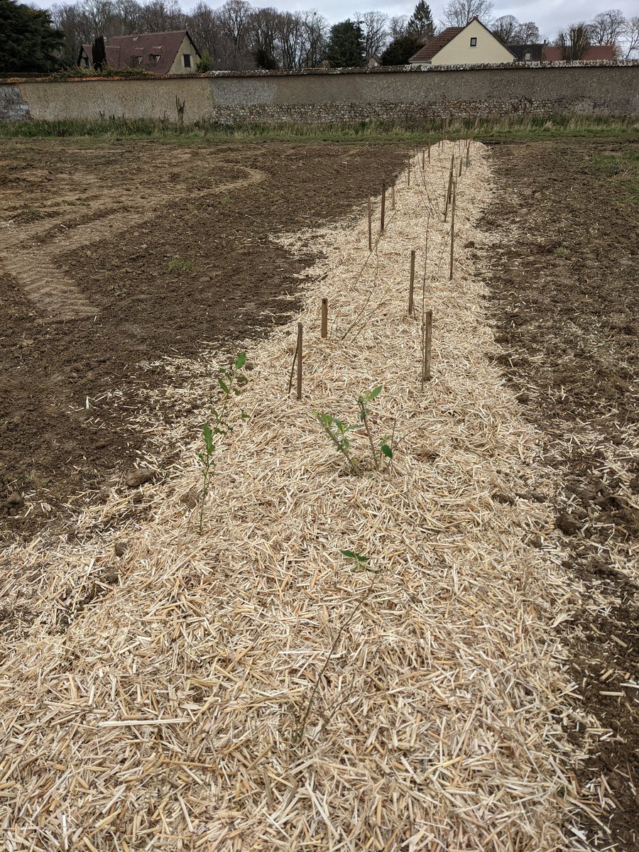 Olivier Vasseur tweet media