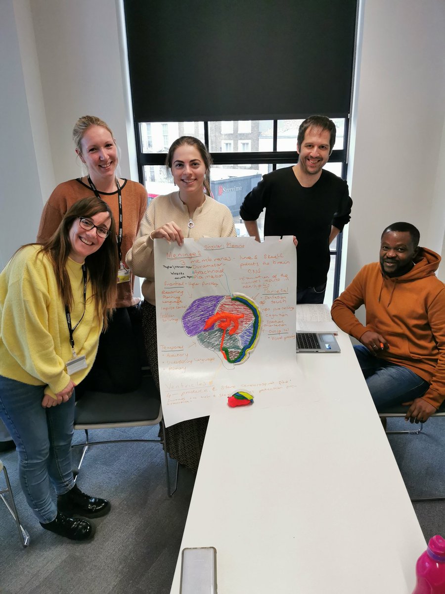Amazing sessions as always with our London apprentices learning brain anatomy #1/3