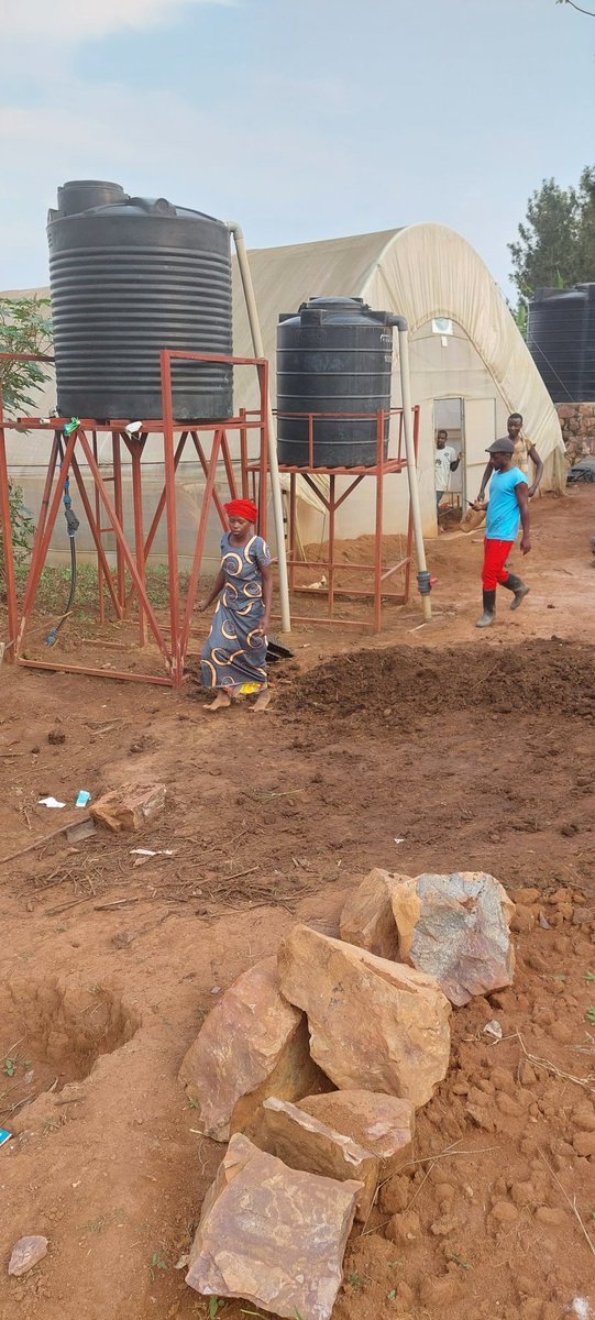 AmaremboFarm's tweet photo. It's 2022 and @AmaremboFarm needs all the attention in the world. We are transplanting new sweet peppers into our greenhouses and we are building new greenhouses as well. So plenty of work to do https://t.co/V1HEGWkh3S