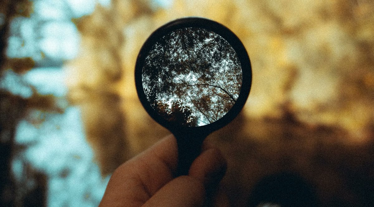 Thilo Haas tweet media