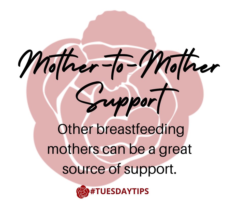 Support_ROSE's tweet photo. Where to go for support and breastfeeding information. Check out the Office on Women's Health website, for more. https://t.co/UM3Dz5Fuet
 #ItsOnlyNatural #SupportingNursingMothersAtWork #PumpingAtWork #ReachingRnR #ReckoningwithResilience #TuesdayTips https://t.co/BLnd32FFMG