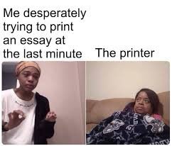 Twillyp tweet media