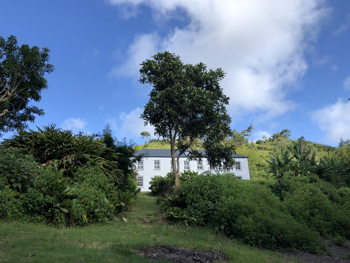 AmyJW31's tweet photo. Day 1 on St Helena - WiFi up and running to share these glorious photos of the gardens around our accommodation and already evidence of pests laying eggs in the fruit of a peach tree 🍑 https://t.co/TrHJ5t0GTY